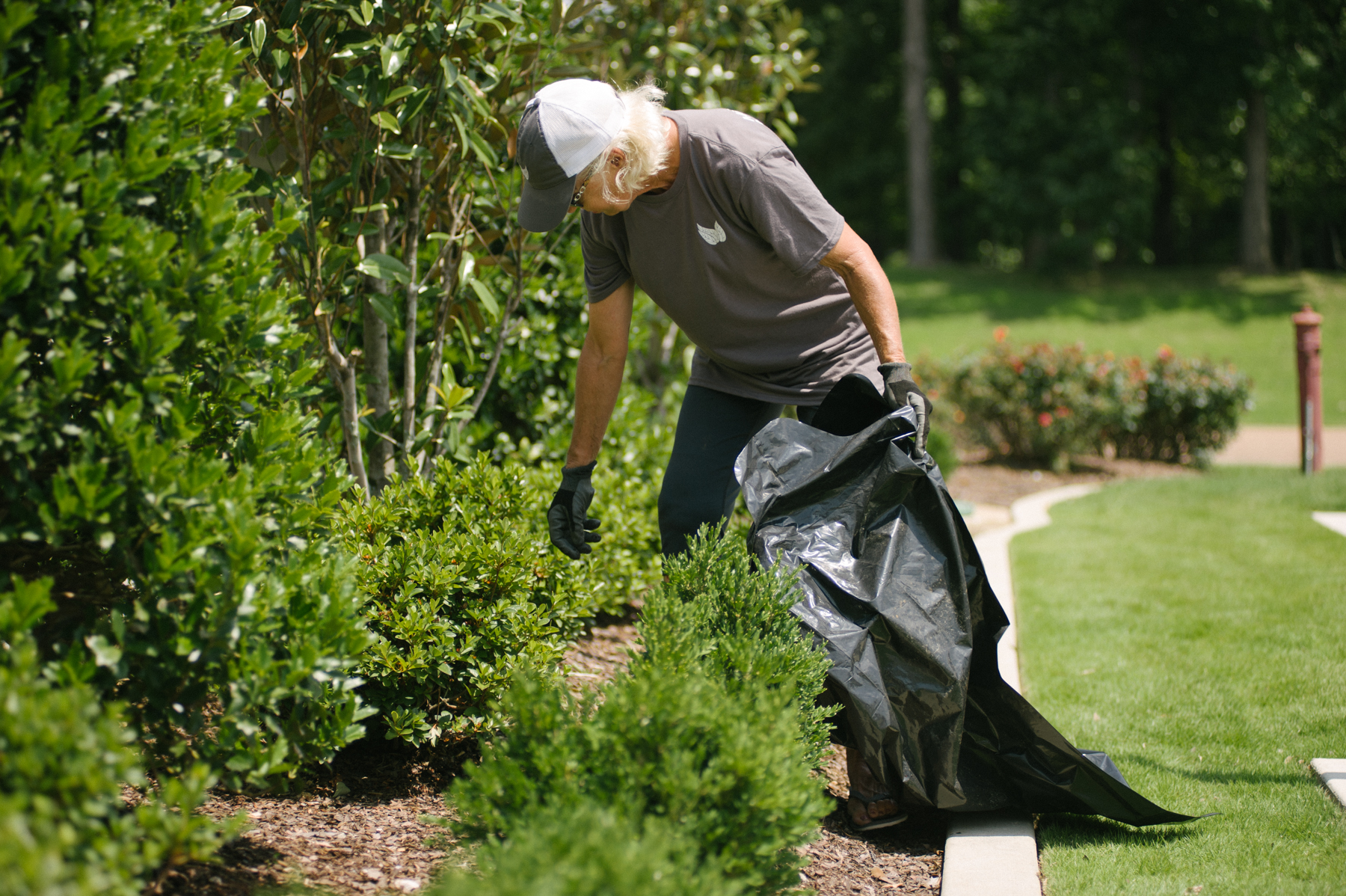 commercial landscape technician weeding