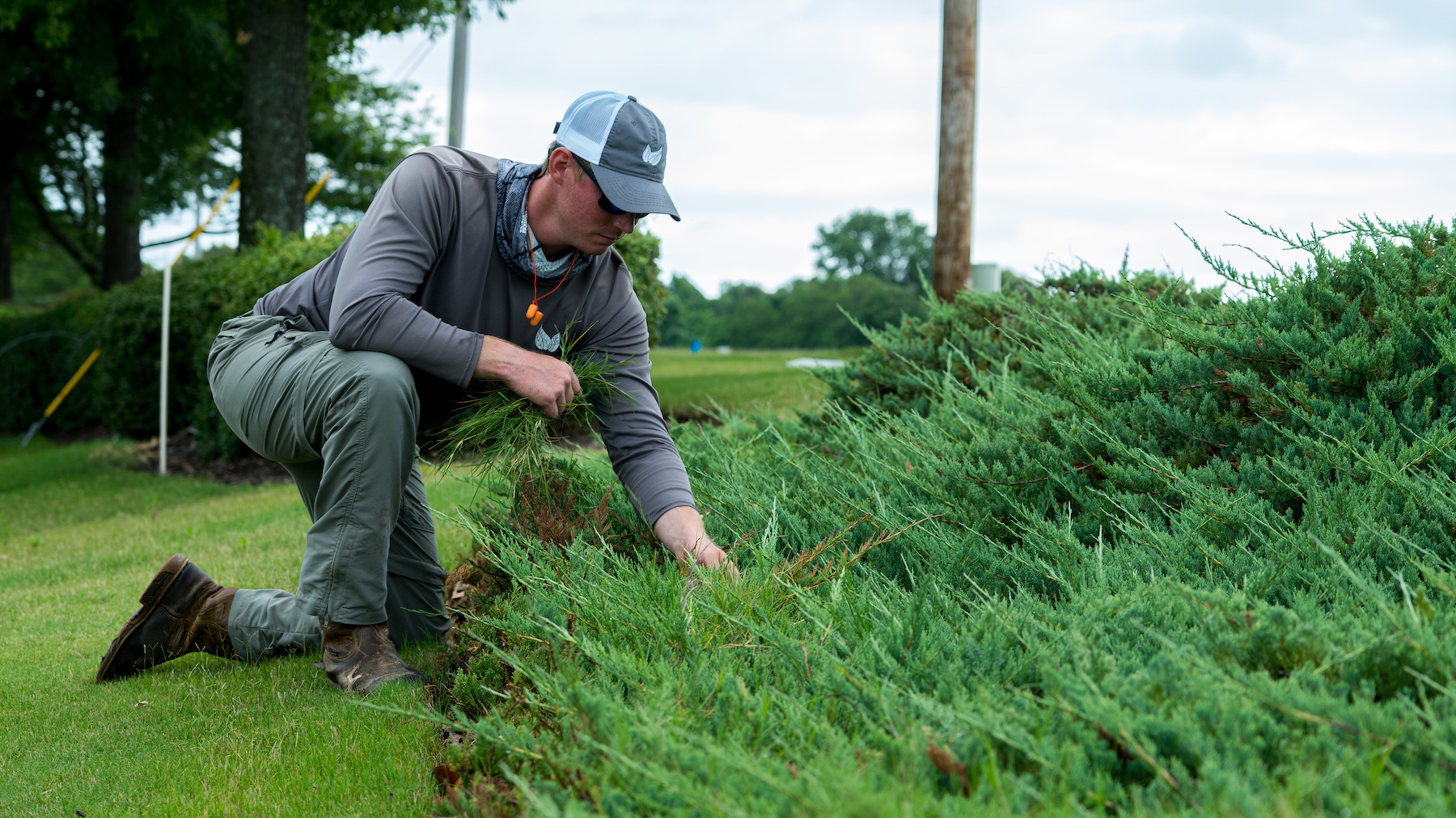 Commercial landscaping company technician