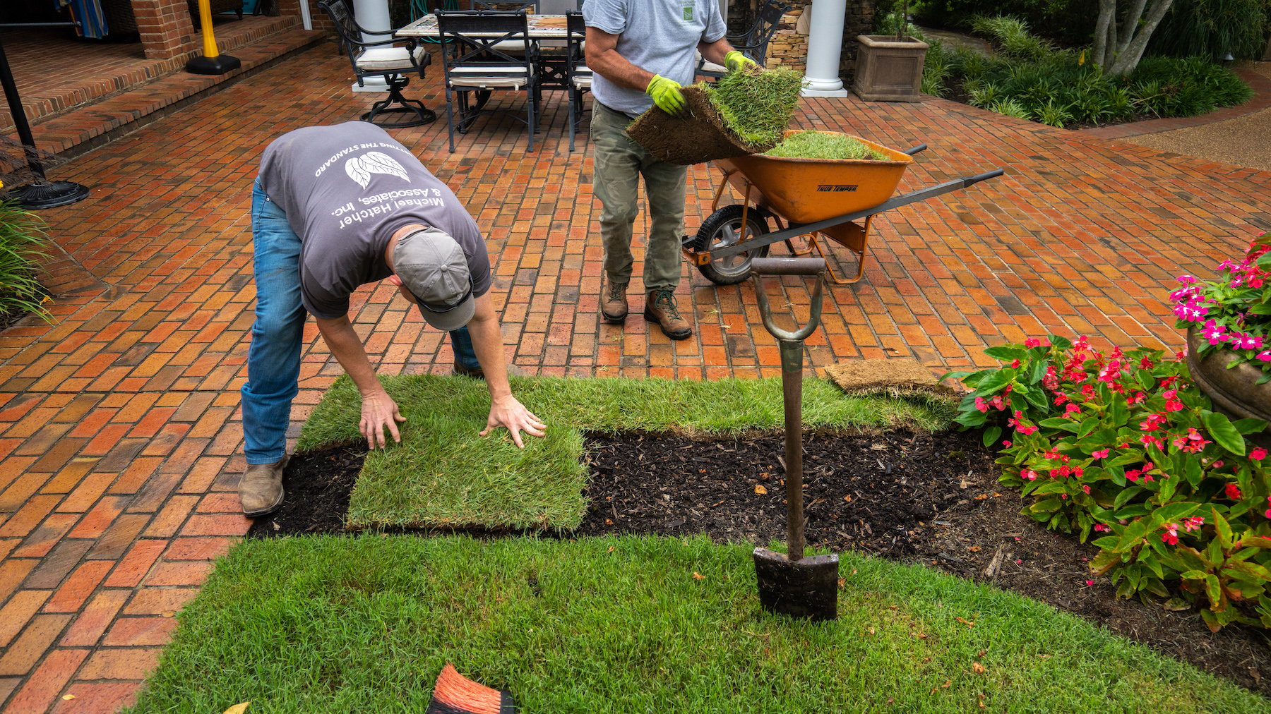 Lawn care technician installing sod