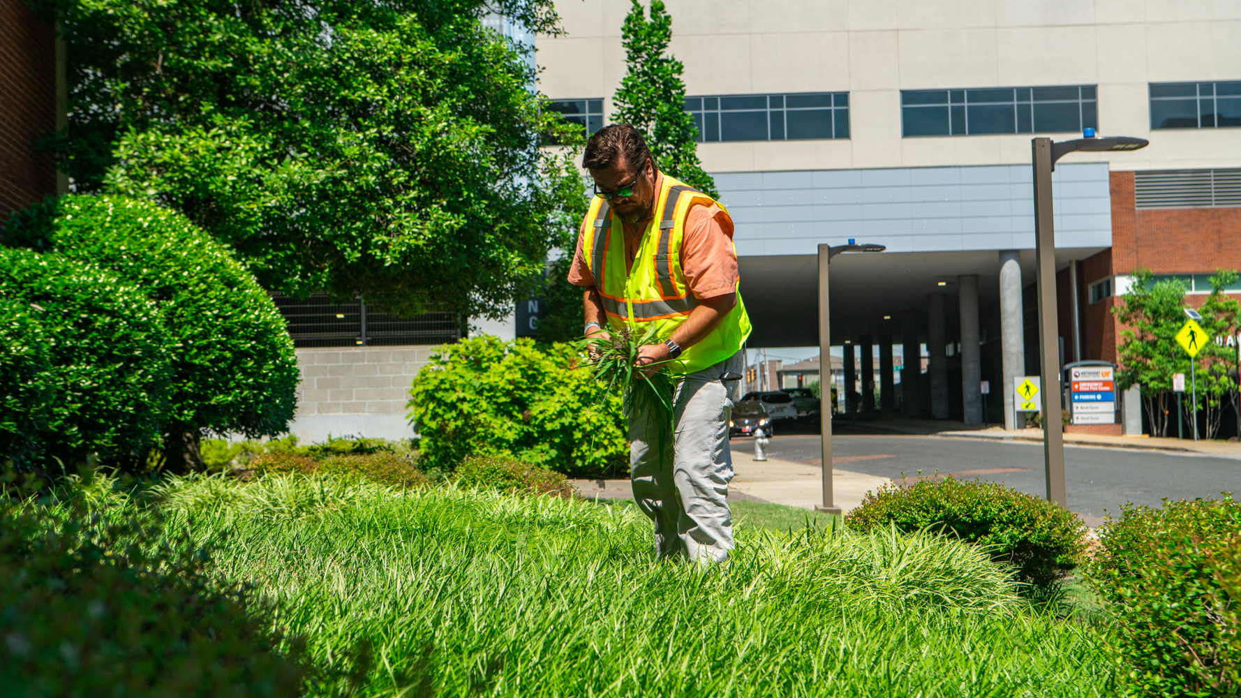 commercial landscaping crew weeds beds